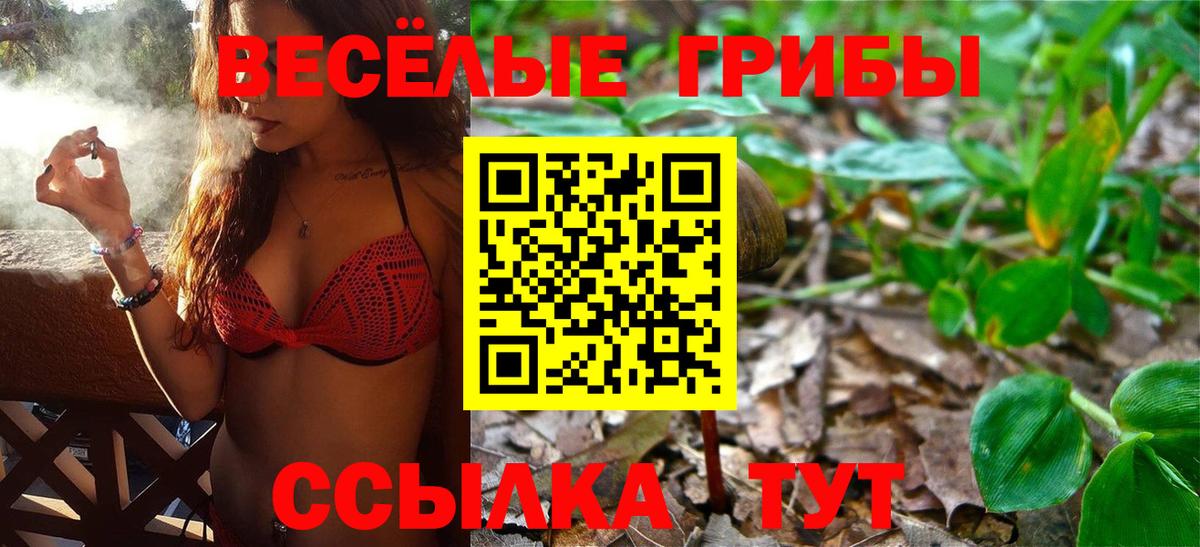 Галлюциногенные грибы MAGIC MUSHROOMS  Вход с VPN  Нижневартовск 