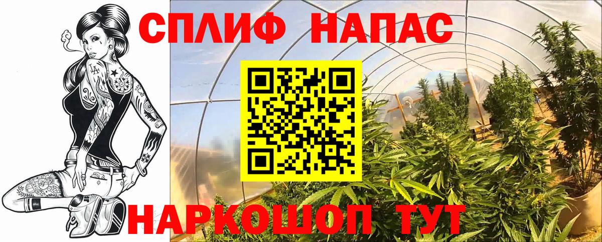 Бошки марихуана Bruce Banner  Вход с VPN  Бошки Шишки OG Kush  Нижневартовск 